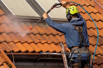 Démoussage et hydrofuge de toiture à Pugny-Chatenod